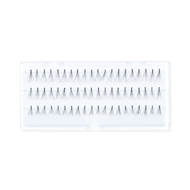 Wimperstukjes Assorted